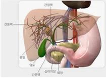 한독 HDB001A '담도암' 다국가 임상2/3상 IND 승인