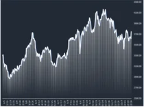 2024년, 유한 등 제약바이오주 19%상승