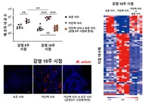 비결핵 항산균 폐질환, 질병 메커니즘 규명