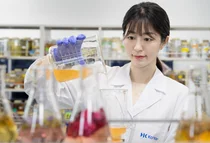 한국콜마, 업계 최초 ‘고삼추출물’ 탈모 완화 효능 발견