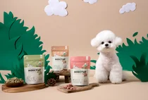 핏펫, 곤충 단백질 활용한 '알러지 프리, 똑똑한 칭찬 간식' 출시