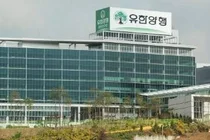 美 FDA, 유한양행 고셔병 치료제 ‘YH35995’ 희귀의약품 지정