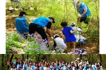 HK이노엔, 멸종위기종 ‘레서판다 먹이숲 조성’…생물다양성 보전 앞장