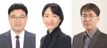 생존율 낮은 췌장암, 암세포만 표적 공격하는 면역 치료 가능성 열려