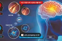 콜린, 첫 임상재평가…목표 미충족에도 '인지' 개선 확인