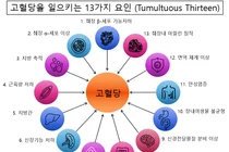분당서울대병원, 2형 당뇨병 전신 13가지 기전 복합 질환 재조명