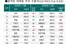 올 1~5월 의약품 수출 6조원…유럽-아시아 증가-북미·중동 감소