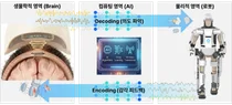 서울대병원, ‘양방향 Brain-to-Robot’ 뇌 칩 이식 임상 총괄
