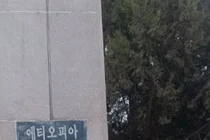저소득국가 환자 진료비 개선해야 국제클리닉 수가 차등화 필요