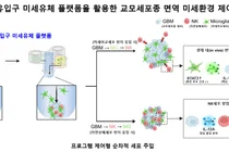 서울대병원·성균관대, 면역세포 유입 순서에 따른 교모세포종 치료 반응 규명