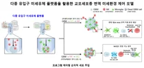 서울대병원·성균관대, 면역세포 유입 순서에 따른 교모세포종 치료 반응 규명