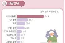 심평원, 출혈성 뇌졸중 치료 평가범위 확대 및 평가 결과 첫 공개