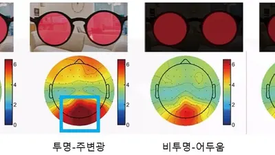 일상생활서 뇌자극하는 ‘투명 OLED 안경’ 개발, 알츠하이머 예방·관리 길 열어