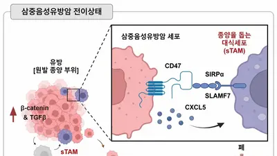 “하나의 유전자로 암 성장부터 면역회피까지 겨눈다”...삼중음성유방암 다중표적 유전자치료 전략 제시