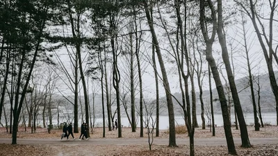 국립공주대 이용근 교수, K-MediWell 그릿 행복여행