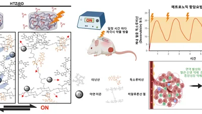 전기 자극으로 항암제 방출 정밀 조절하는 지능형 하이드로겔 개발
