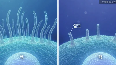쌍을 이룬 유전자가 함께 변이...자폐의 새로운 유전적 기전 밝혀져