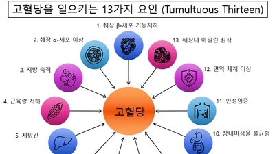 분당서울대병원, 2형 당뇨병 전신 13가지 기전 복합 질환 재조명