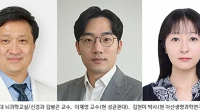 세계 최초 ‘뇌 미세출혈’ 유전자 교정 동물 모델 개발