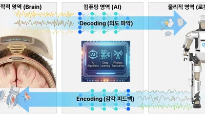 서울대병원, ‘양방향 Brain-to-Robot’ 뇌 칩 이식 임상 총괄