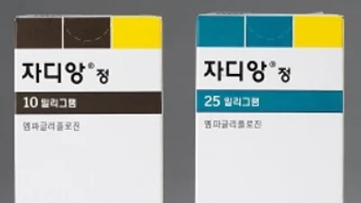 자디앙 미등재특허 분쟁 7건 중 5건 제네릭사 우세