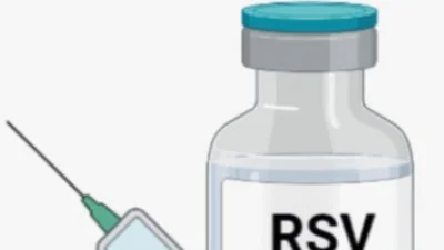 보령바이오-MSD, RSV 신약 ‘엔플론시아’ 코프로모션 계약
