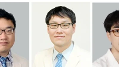 달걀 섭취하면 당뇨병 위험 높아진다?..“한국인 직접적 연관성 없어”