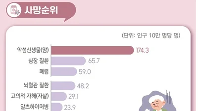 심평원, 출혈성 뇌졸중 치료 평가범위 확대 및 평가 결과 첫 공개