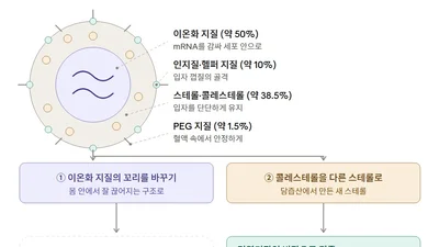 간 독성 잡고 면역 효과 높인 차세대 mRNA 백신 전달체 개발
