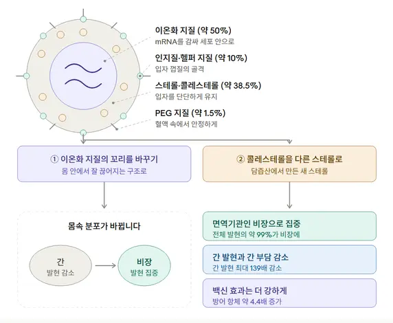 (그림) mRNA 백신 지질나노입자(LNP)의 구성과 두 가지 설계 전략