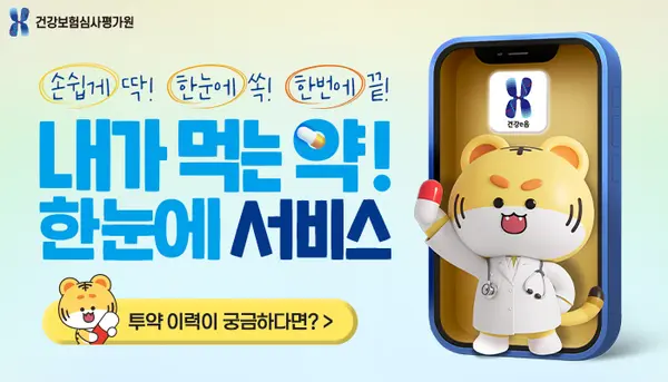 심평원_대국민서비스