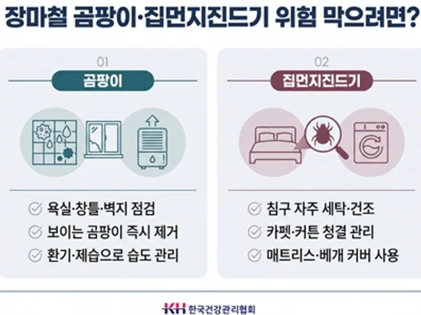 장마철 습도가 키우는 곰팡이·집먼지진드기… 알레르기비염·천식 주의