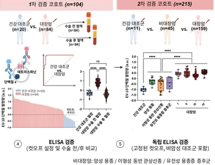 그림설명) 추가 환자 코호트 총 319명을 대상으로 검증한 결과, 104명을 대상으로 한 1차 검증에서 10개 단백질 패널이 90% 이상의 민감도로 대장암을 구별했으며, 215명을 대상으로 한 2차 검증에서는 해당 단백질들이 수술 후 6주 후 70%이상 환자에서 감소하는 양상을 보였다.&nbsp;