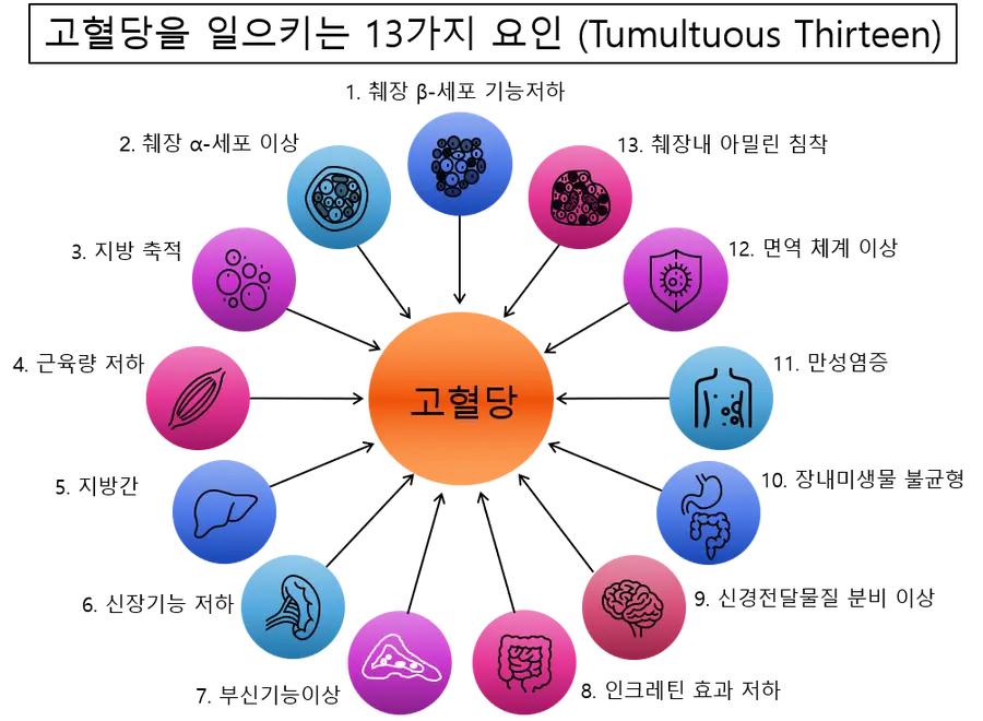 [그림] 고혈당을 일으키는 13가지 요인