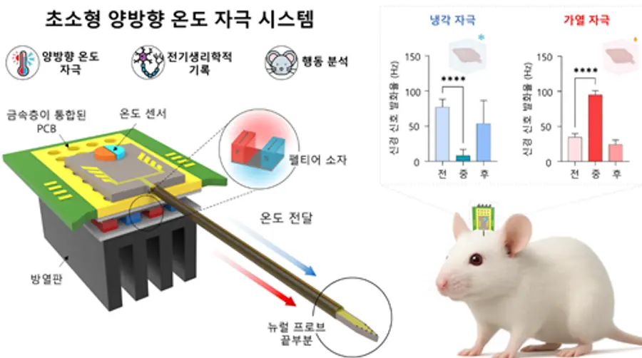 [사진] 신경 활동 기록을 위한 전극 배열이 통합된 초소형 양방향 온도 자극 시스템
