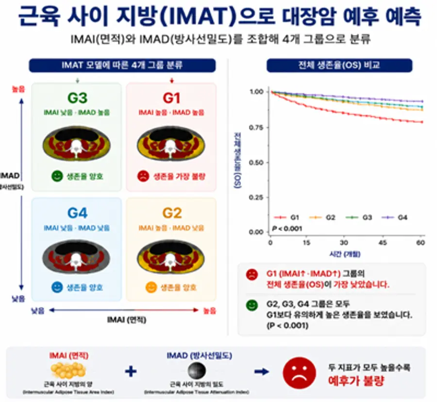 (이미지) IMAT 모델의 4가지 그룹 분류
