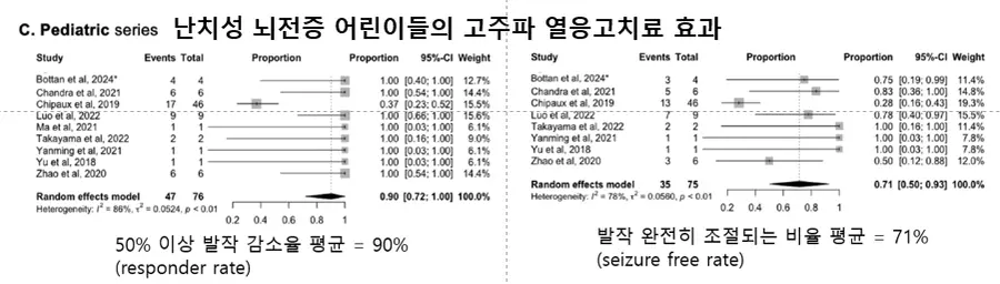 그림 2. 학술지 Seizure 126 (2025) 6–13