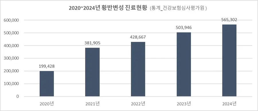 그림1_2020~2024 황반변성 진료현황 (통계_건강보험심사평가원)
